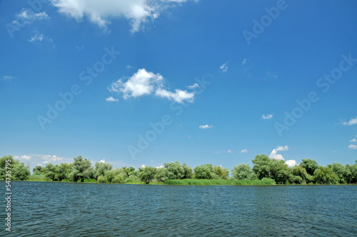 Swamp vegetation, Danube delta