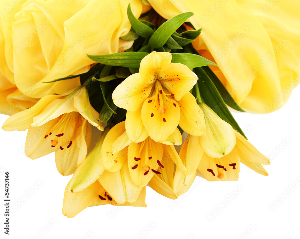 Obraz premium Beautiful orange lilies, isolated on white