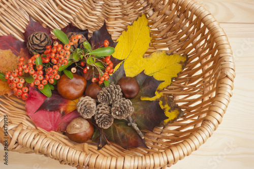 Autumn collection  leaves  conkers  pinecones  berries  basket.