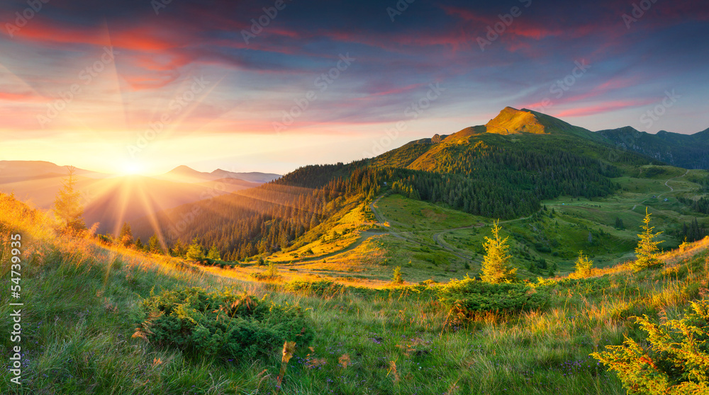 Obraz premium Beautiful summer landscape in the mountains