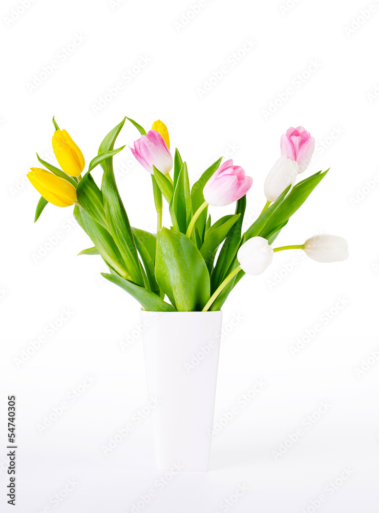 Tulips in a white vase with clipping path Tulips in a white vase with clipping path