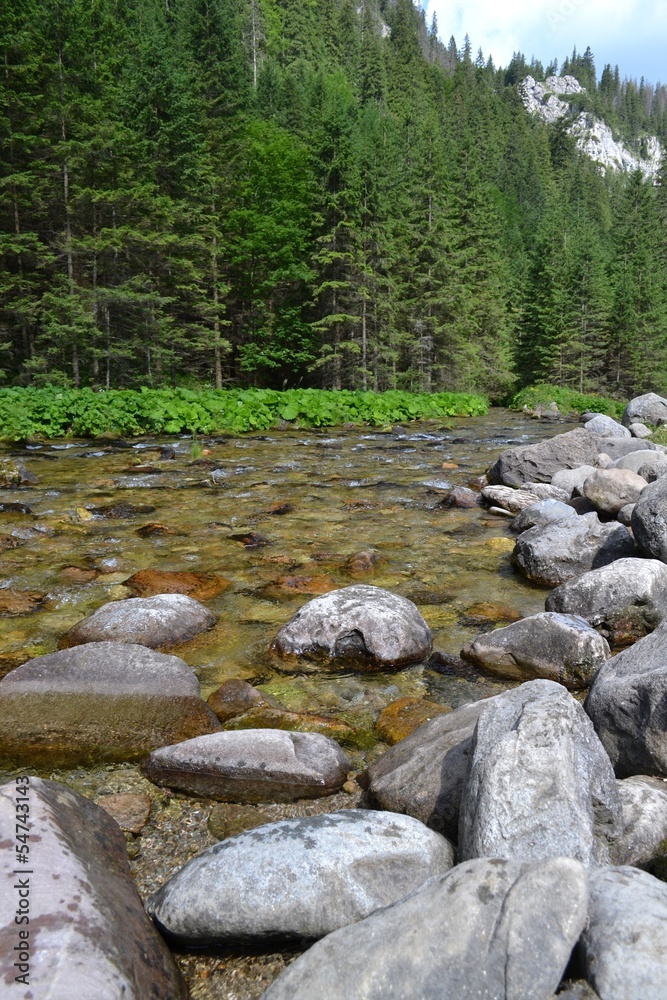 stream in the mountains. Tatra Mountains. Poland stream in the mountains. Tatra Mountains. Poland