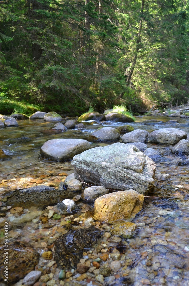 stream in the mountains. Tatra Mountains. Poland stream in the mountains. Tatra Mountains. Poland