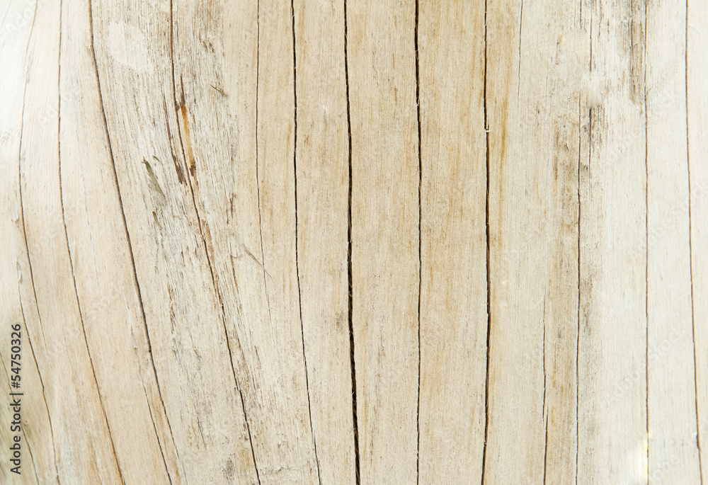 Fototapeta premium Texture Wood