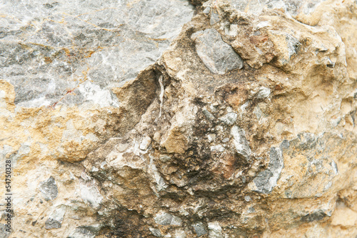 Surface of the rock in the background