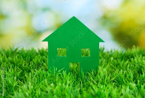 paper house on green background, close up