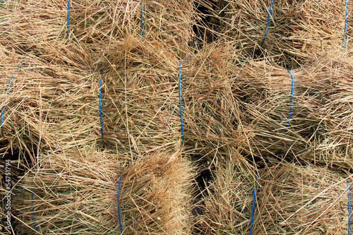 Background of Hay Bales photo