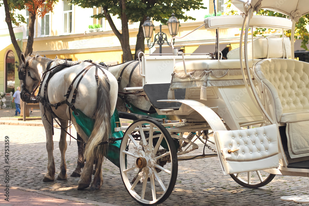 Horses drawn carriage on summer city street