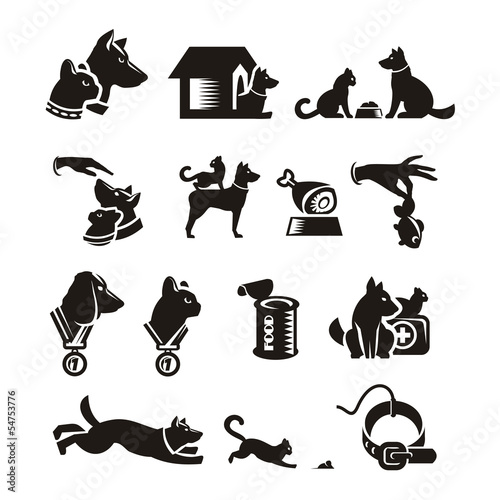 Cat & Dog