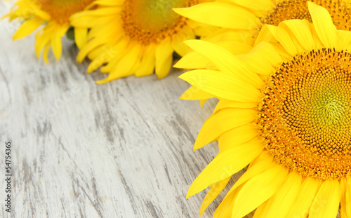 Sunflowers on wooden background