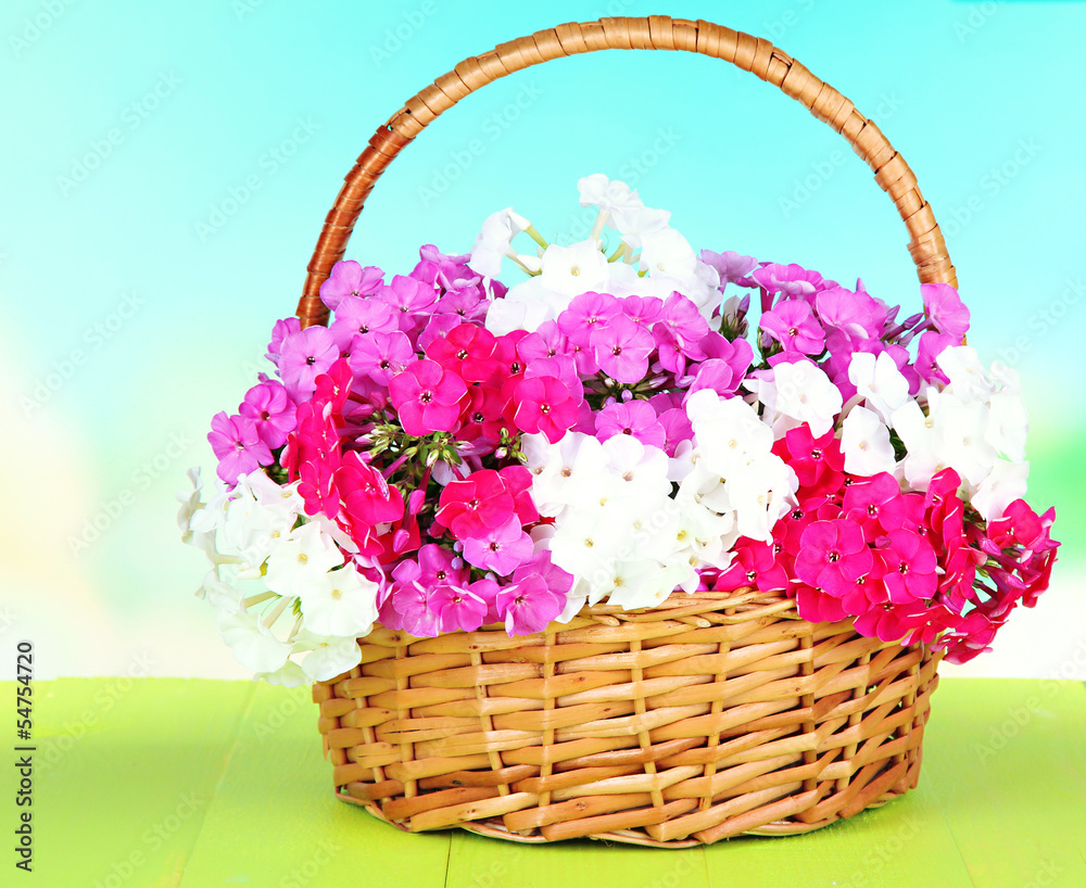 Beautiful bouquet of phlox in wicker basket Beautiful bouquet of phlox in wicker basket