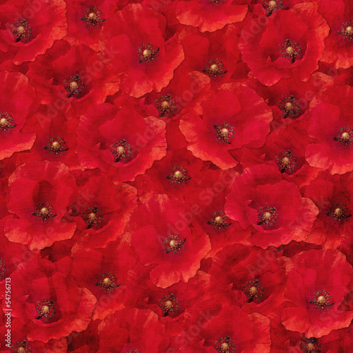 Fototapeta Naklejka Na Ścianę i Meble -  Red Poppies texturized background