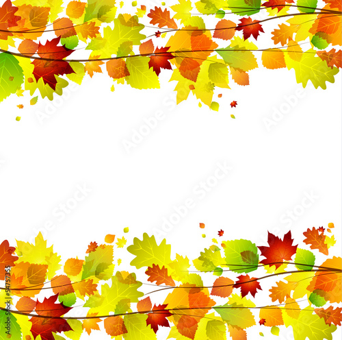 autumn leaves