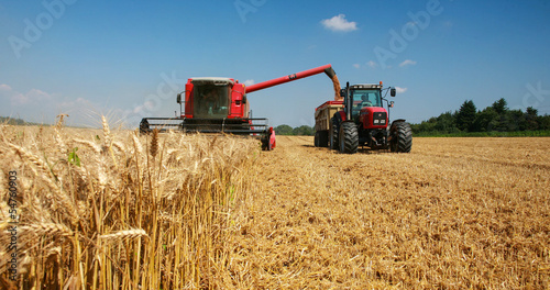 Fotografie récolte du blé en juillet