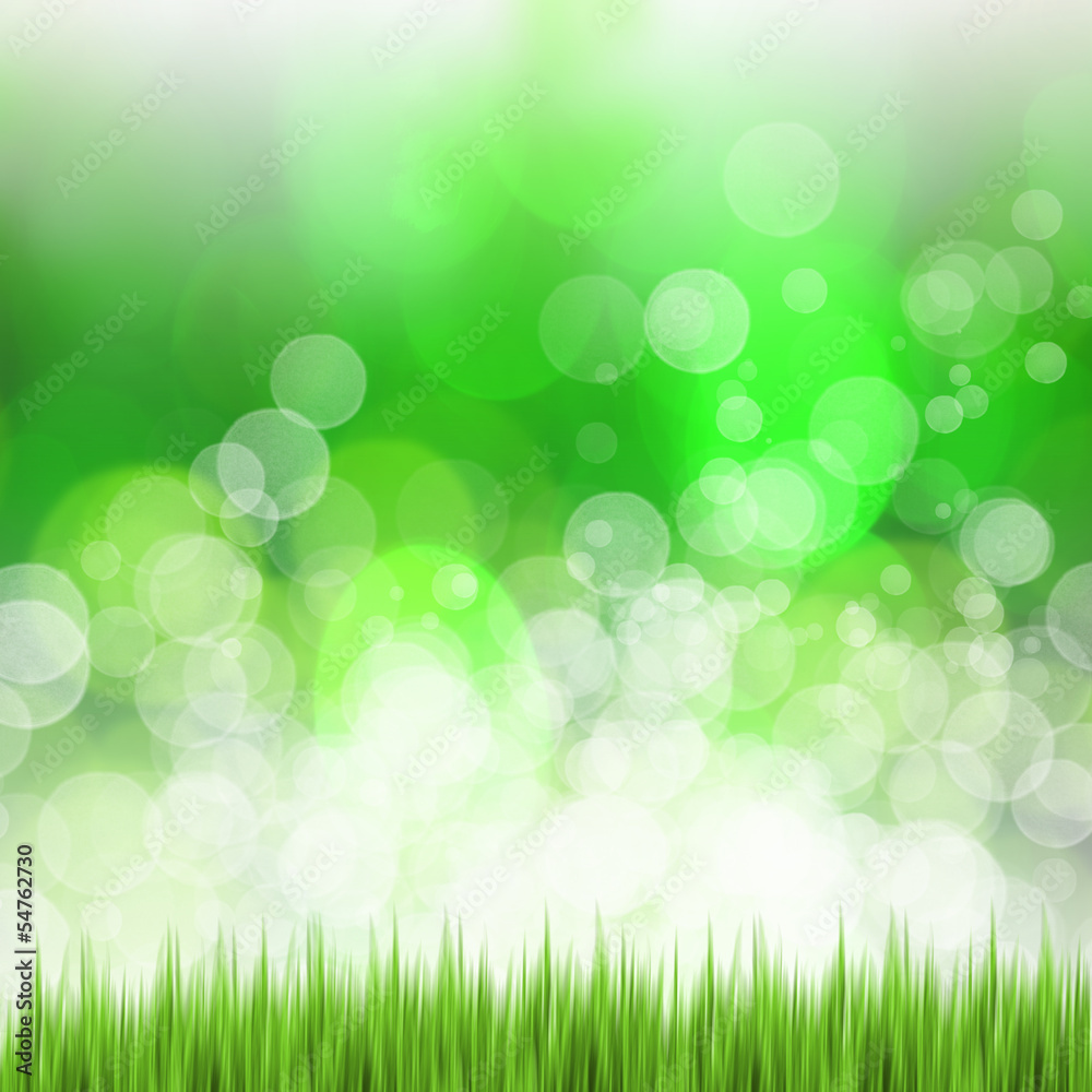 Fototapeta premium Summer image