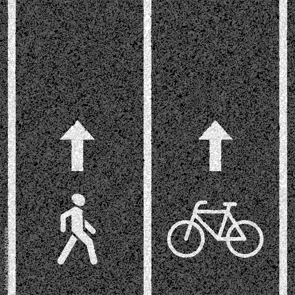 Fototapeta premium Bicycle and pedestrian paths