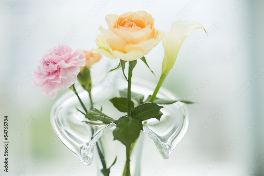 花瓶に挿している花 花瓶に挿している花