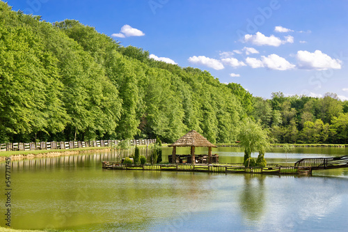 Fényképezés Wooden arbour on green lake