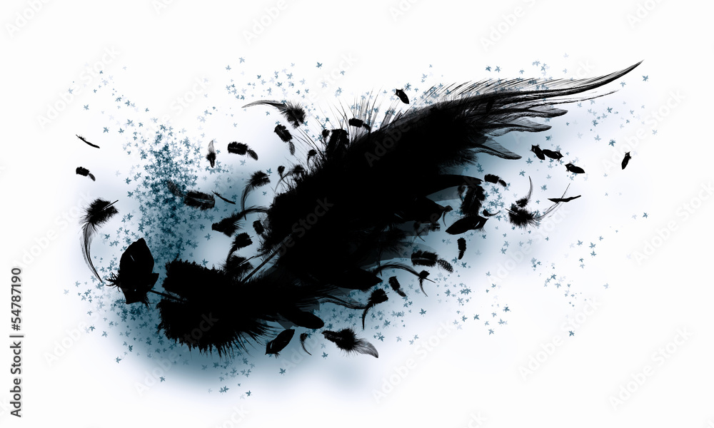 Black wings Black wings