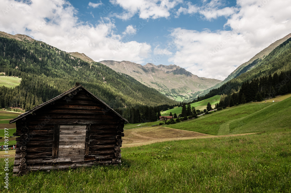 A view of typical alpine valley with rustic hut.