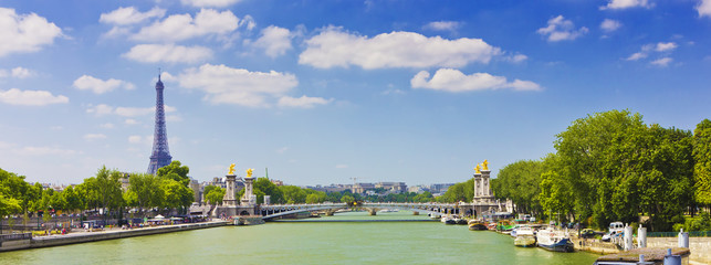 Leinwandbilder Pont Alexandre III Pont Alexandre III bei Nacht  © salexander2