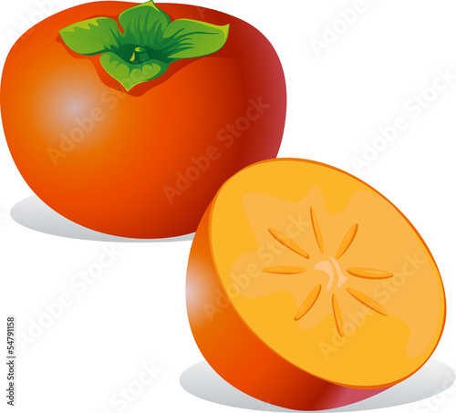 persimmon - vector illustration