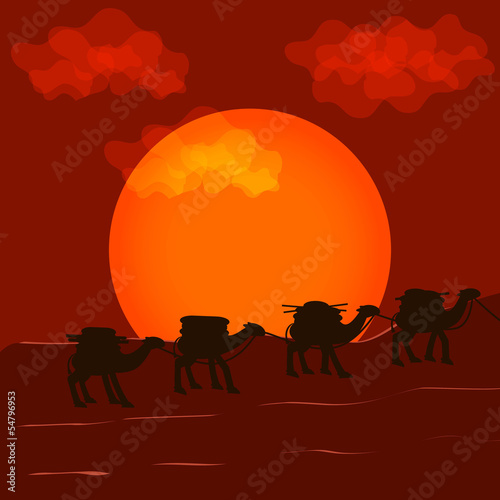 Vector background with camelcade