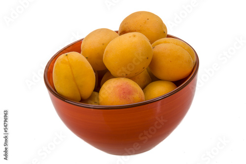 Yellow bright apricot