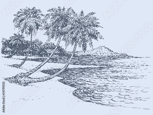 Vector seascape. Palm trees on the shore of ocean
