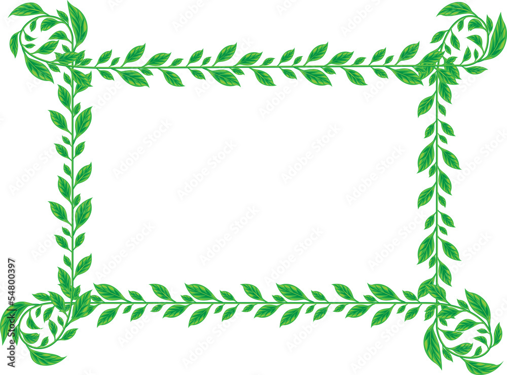 green leaves border on white background. 
