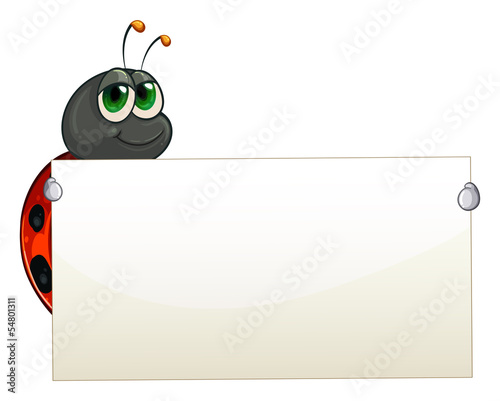 A ladybug holding an empty signage