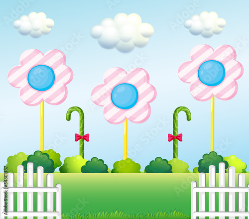 A lollipop garden
