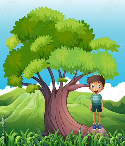 A boy standing on a root of a tree
