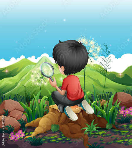 A boy above a stump with a magnifying glass