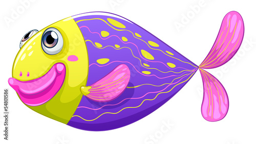 A shy fish
