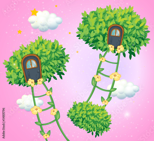 The green ladders going to the sky