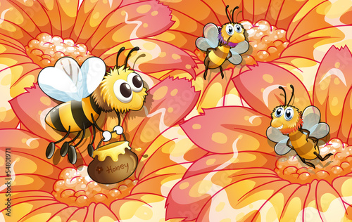 Bees collecting honey