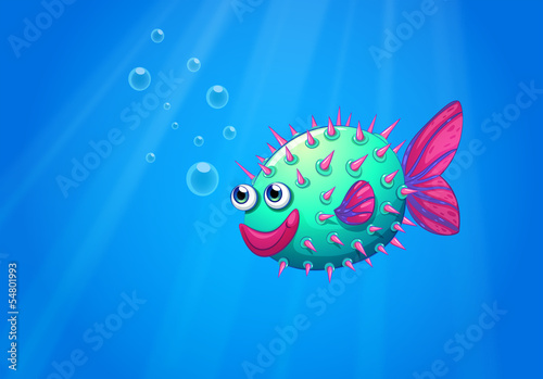 A puffer fish smiling