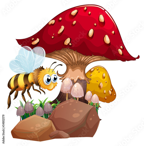 A bee near the giant red mushroom