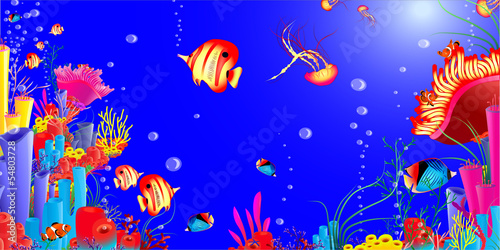 marine life. fish jellyfish, red sea, starfish