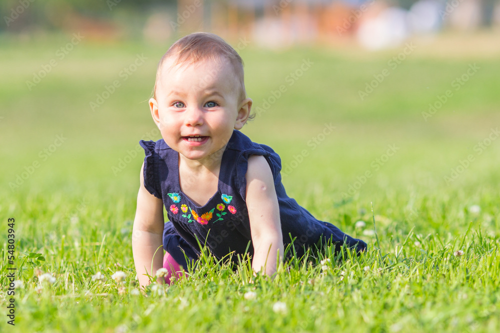 A cheerful baby girl is playing on the grass A cheerful baby girl is playing on the grass