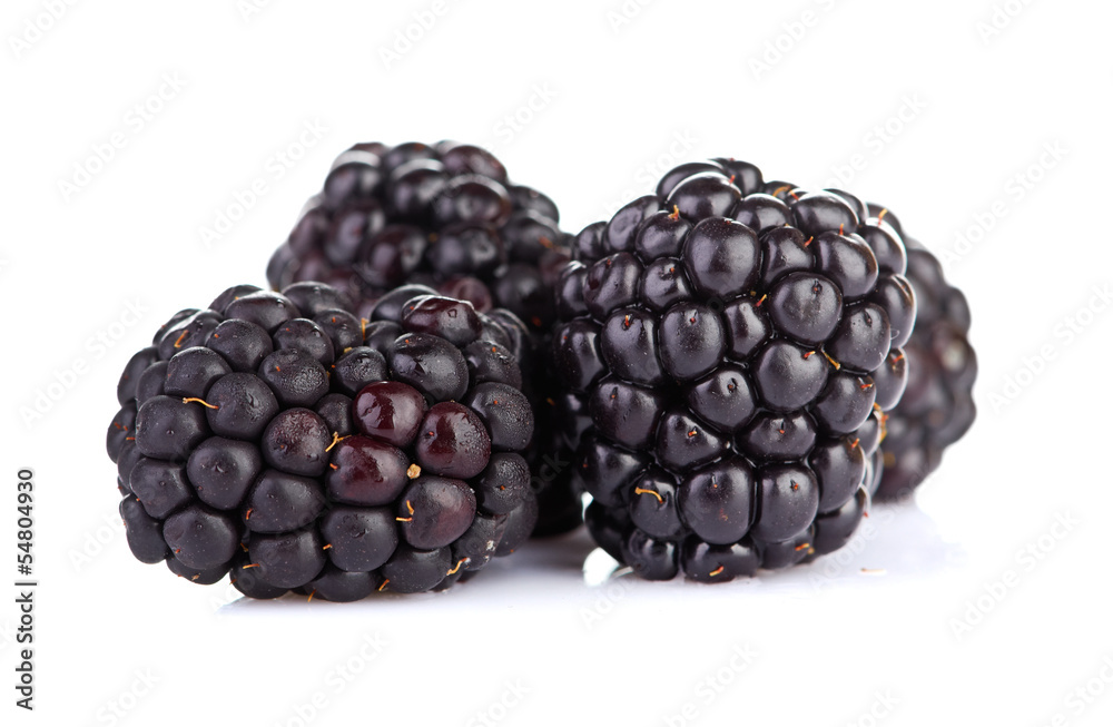 blackberry blackberry