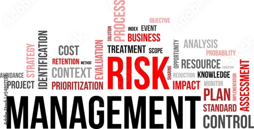 word coud - risk management