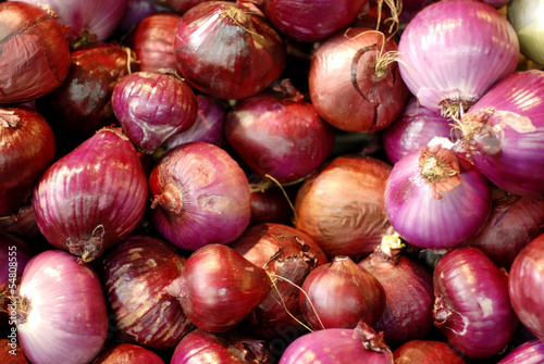 Onions  earth treasures
