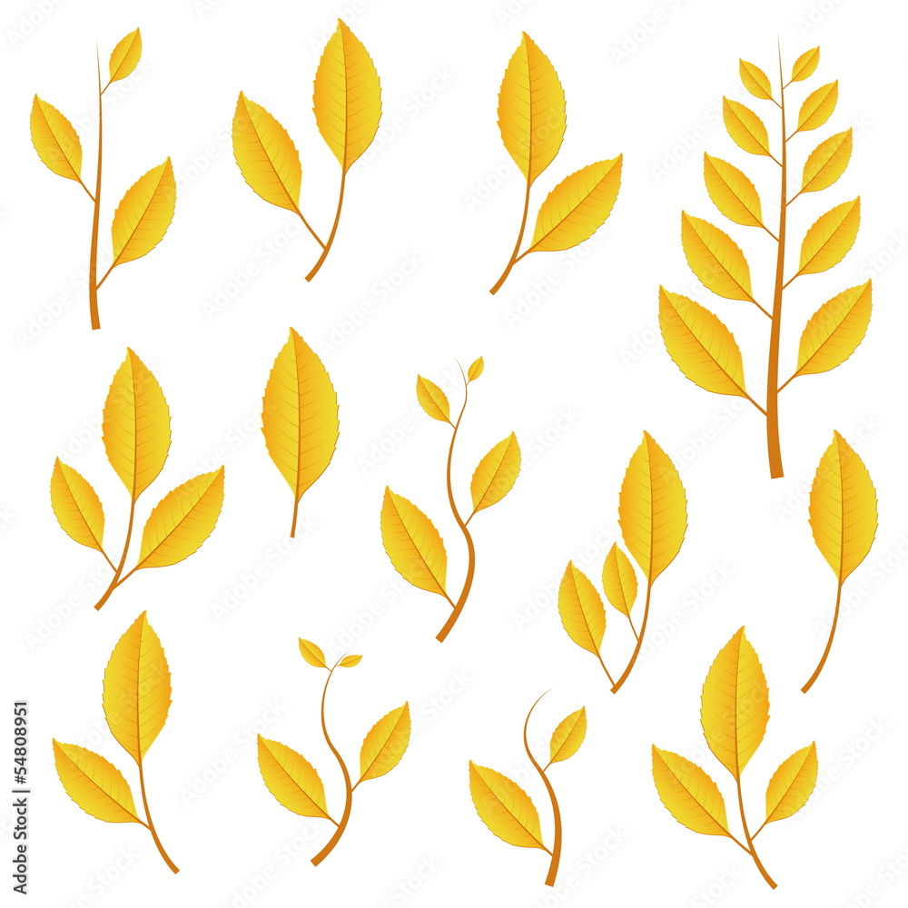 autumn leafs set autumn leafs set