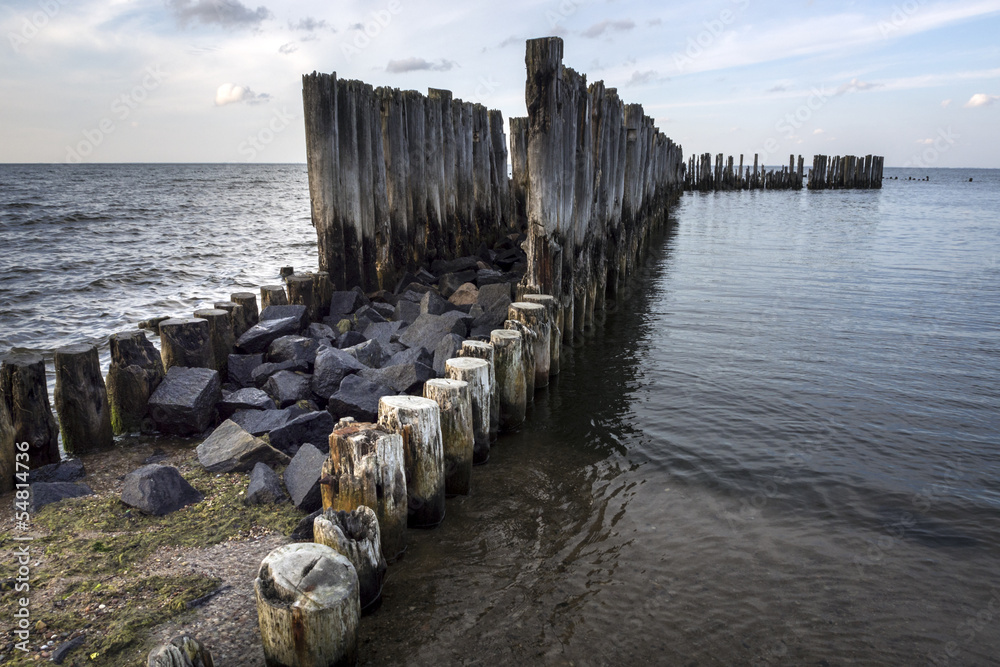 Fototapeta premium Old wooden stakes in the Baltic sea