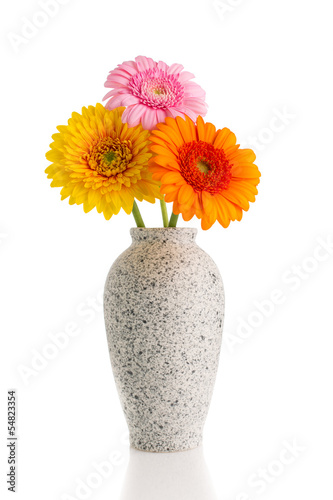 Fototapeta Naklejka Na Ścianę i Meble -  Flowers.