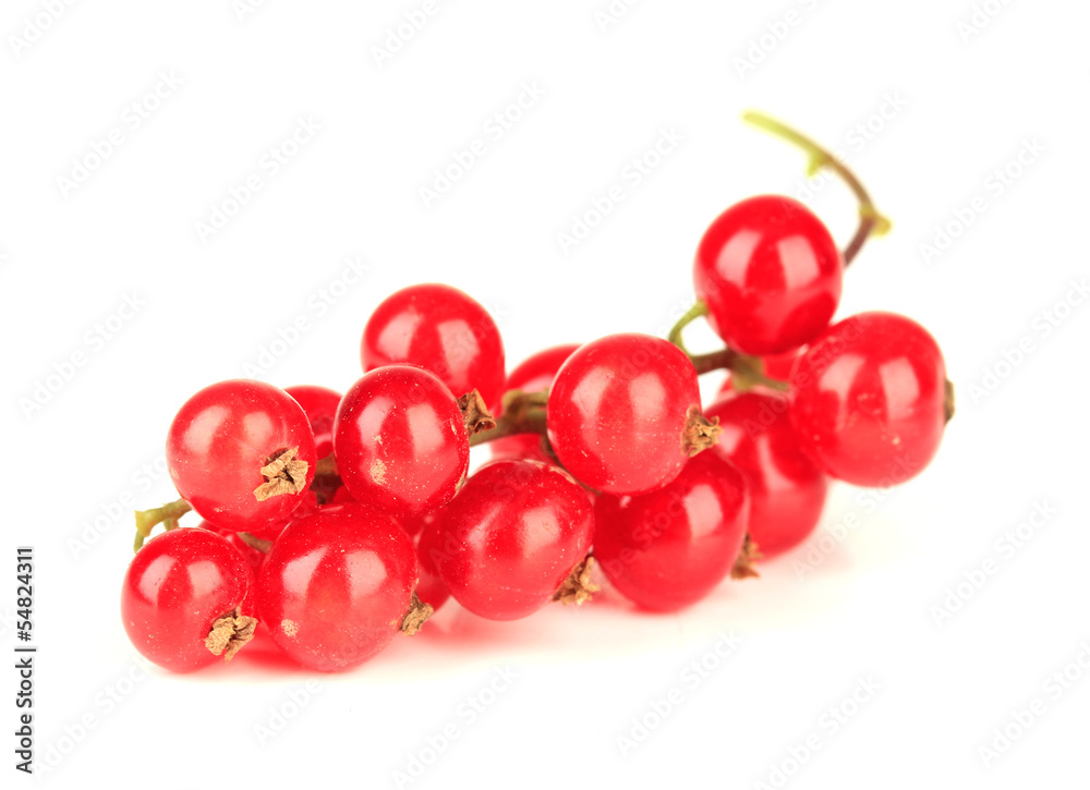 Redcurrants isolated on white