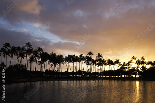 tropical sunset photo