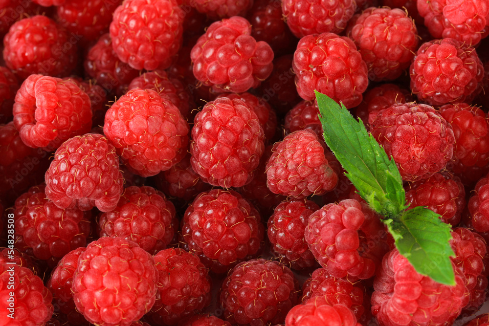 Ripe sweet raspberries, close up Ripe sweet raspberries, close up